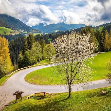 Apartment In Altenmarkt Near Slopes, Cleaning Included Altenmarkt im Pongau
