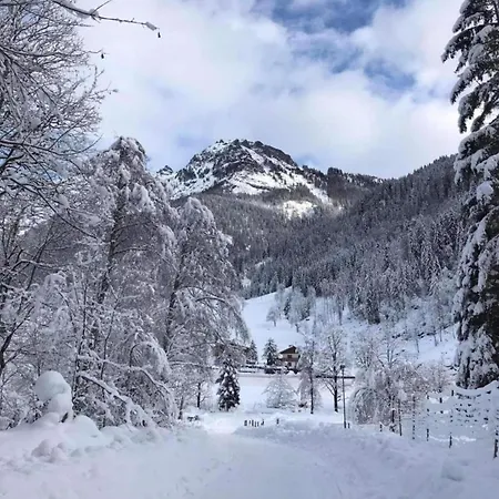 In Altenmarkt Near Slopes, Cleaning Included Apartment *