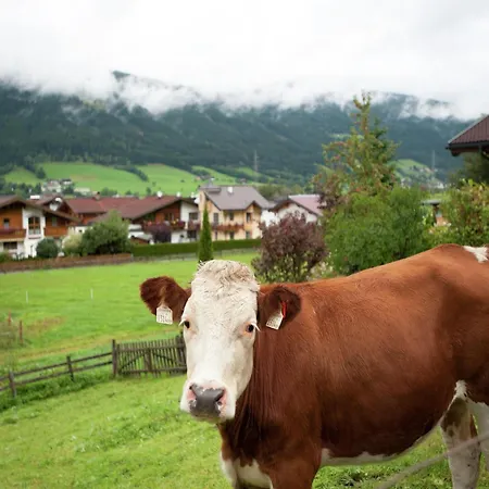 In Altenmarkt Near Slopes, Cleaning Included Altenmarkt im Pongau