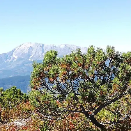 In Altenmarkt Near Slopes, Cleaning Included Apartment Altenmarkt im Pongau